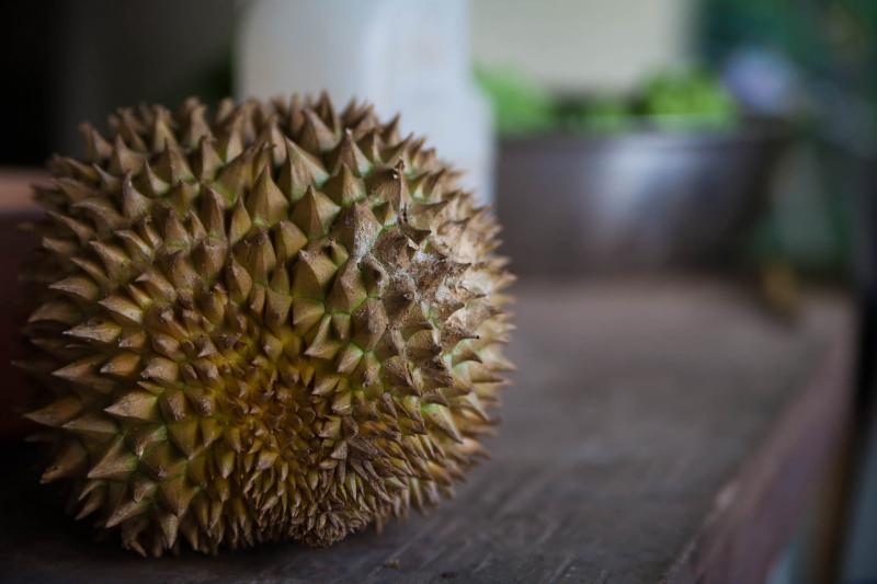 Durian - King of Fruits