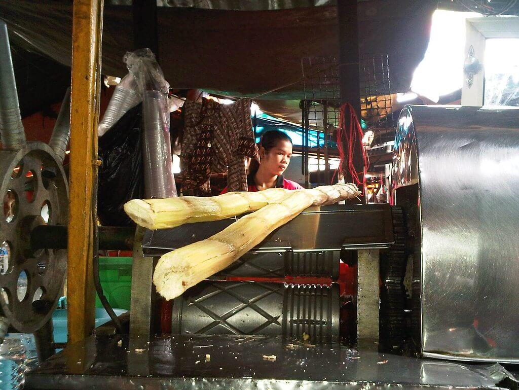 Sugar Cane