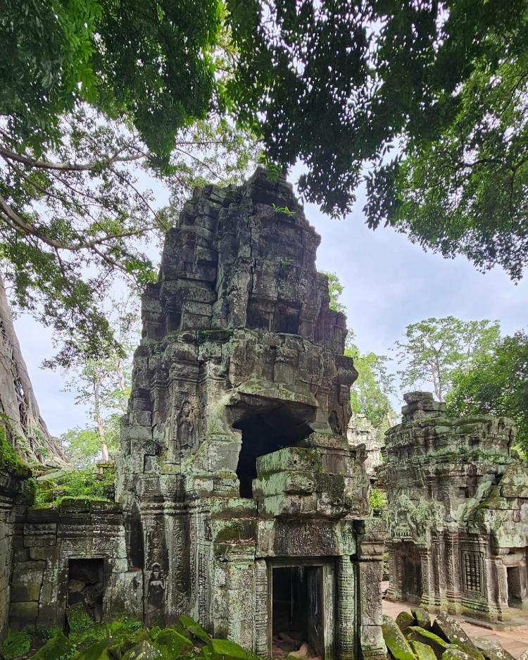 ta prohm temple entrance